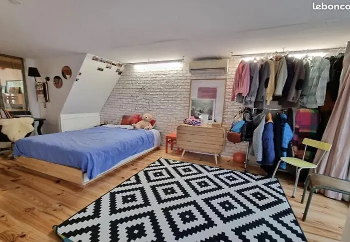 Large Loft With Terrace 아파트 리옹