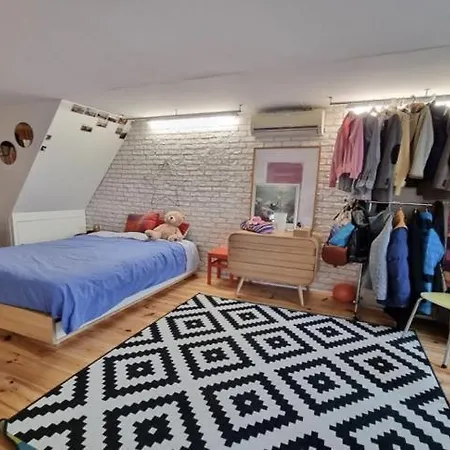 Large Loft With Terrace Apartament Lyon